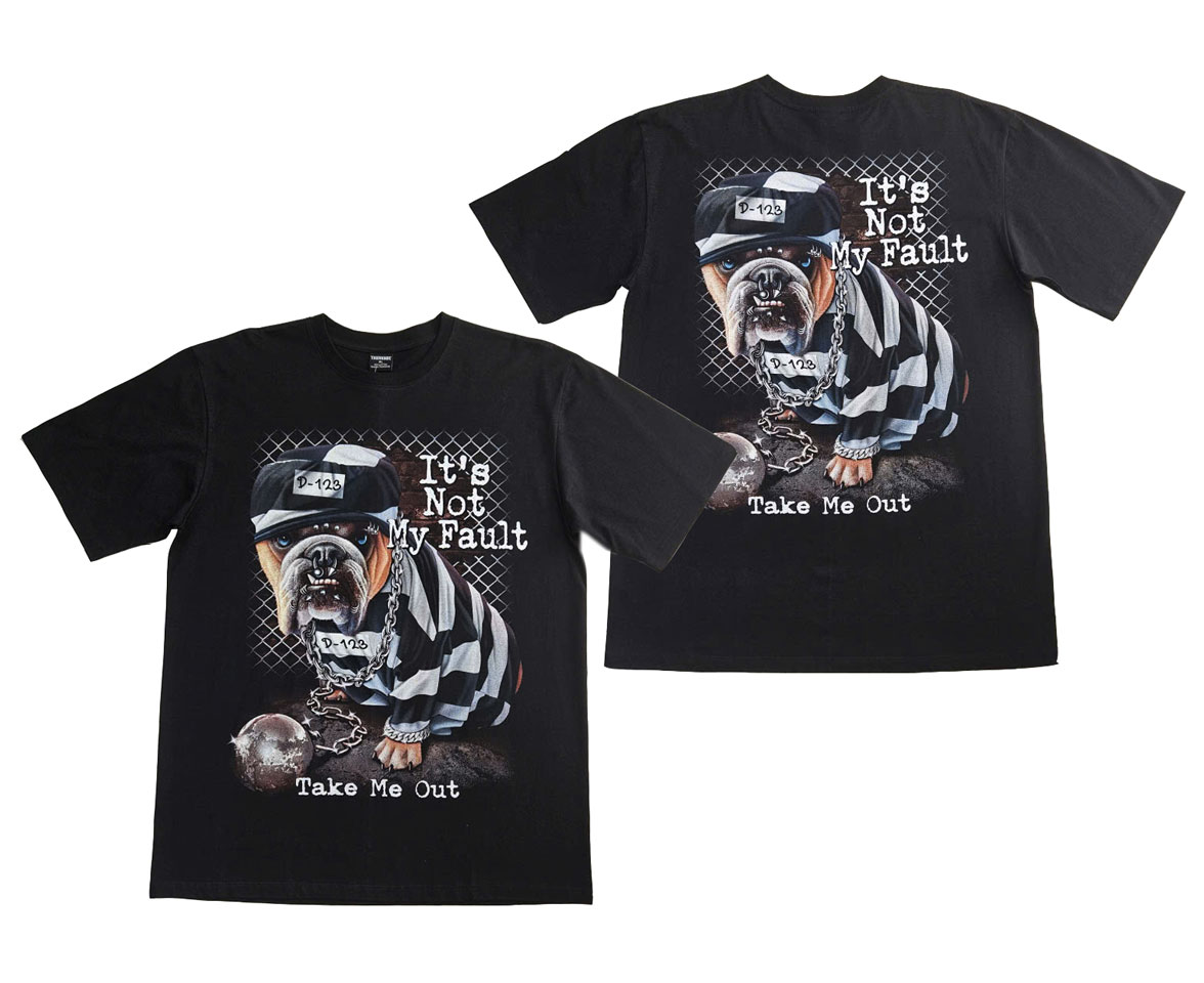 z7412791772121_b1702701519c19eb3672b7b0e3c90f82